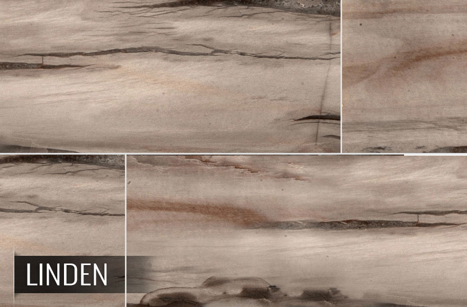 emser Look Wood Petrified tile wood Modena Planks Emser Porcelain  Tile porcelain