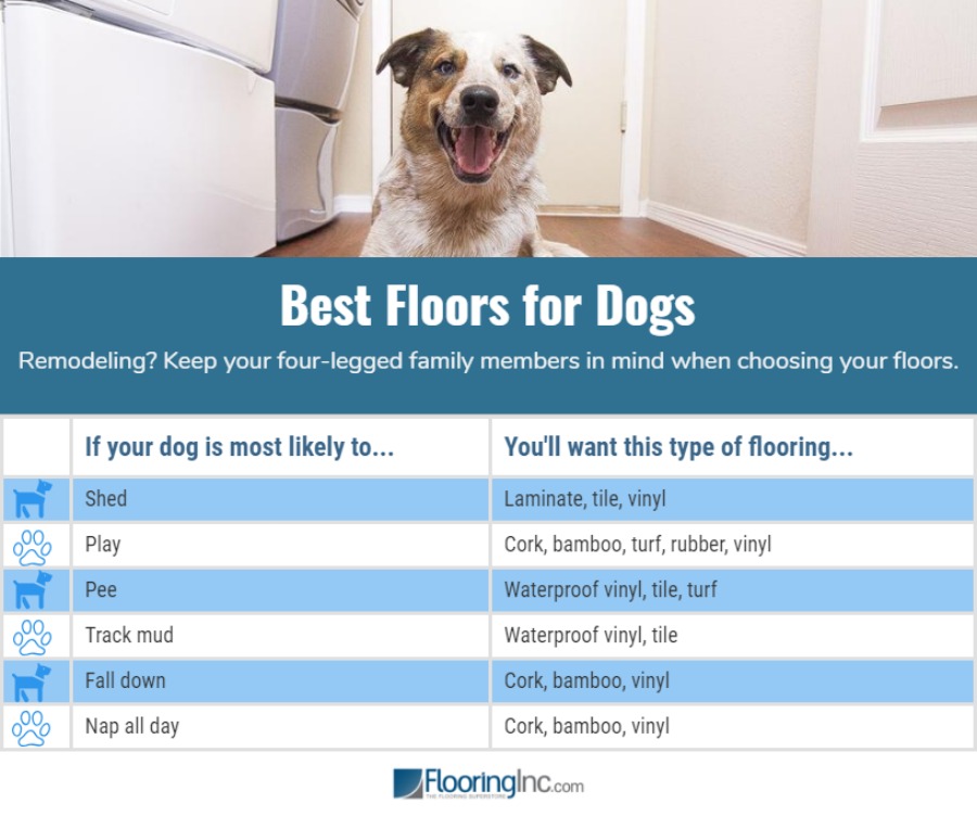 tile for dogs