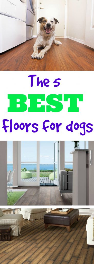 Best Flooring For Dogs Flooringinc 366x1024 