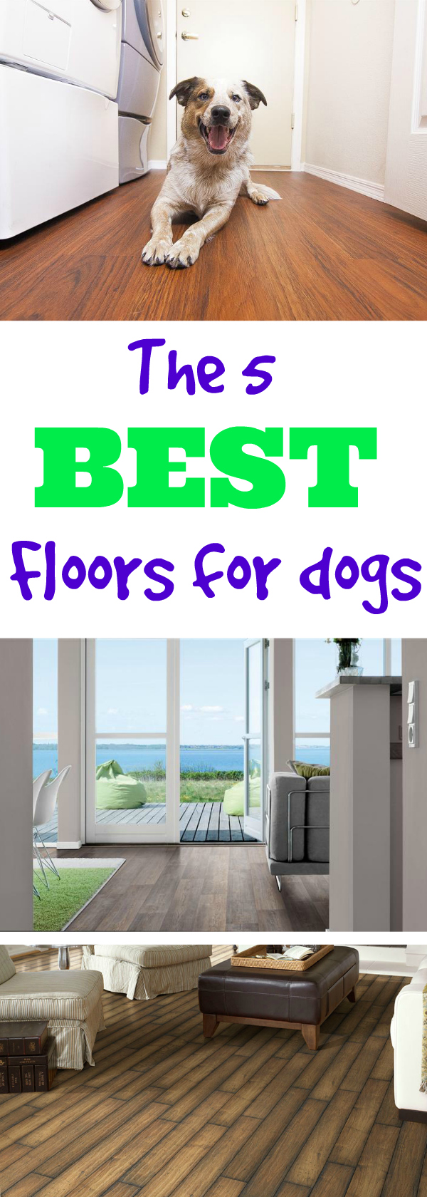 https://www.flooringinc.com/blog/wp-content/uploads/2016/05/best-flooring-for-dogs-flooringinc.jpg