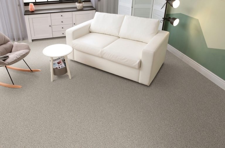 Best Carpet for Pets in 2024 7 PetFriendly Carpet Options