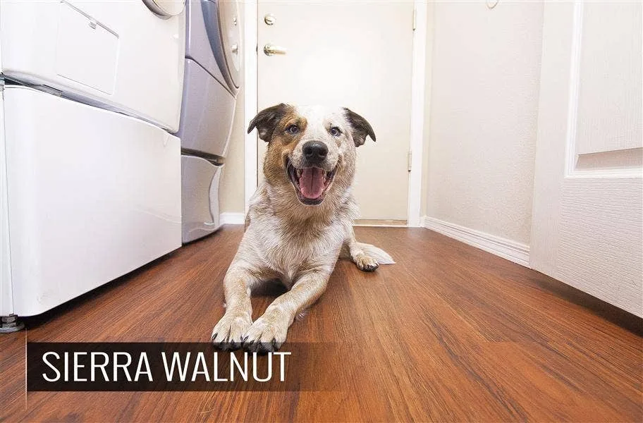 2017 Vinyl Flooring Trends: Update your home in style with these vinyl flooring trends that will stay in style the lifetime of your floor.
