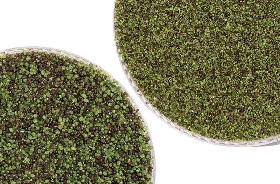 putting green infill